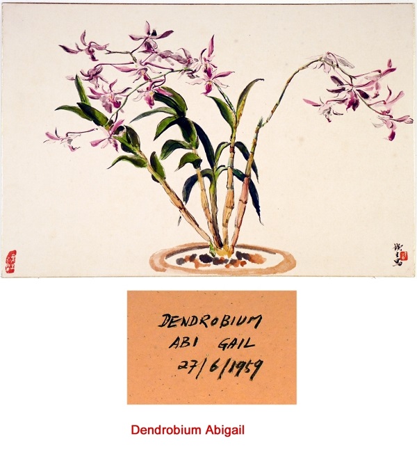 1756286432139396.jpg image081.jpg